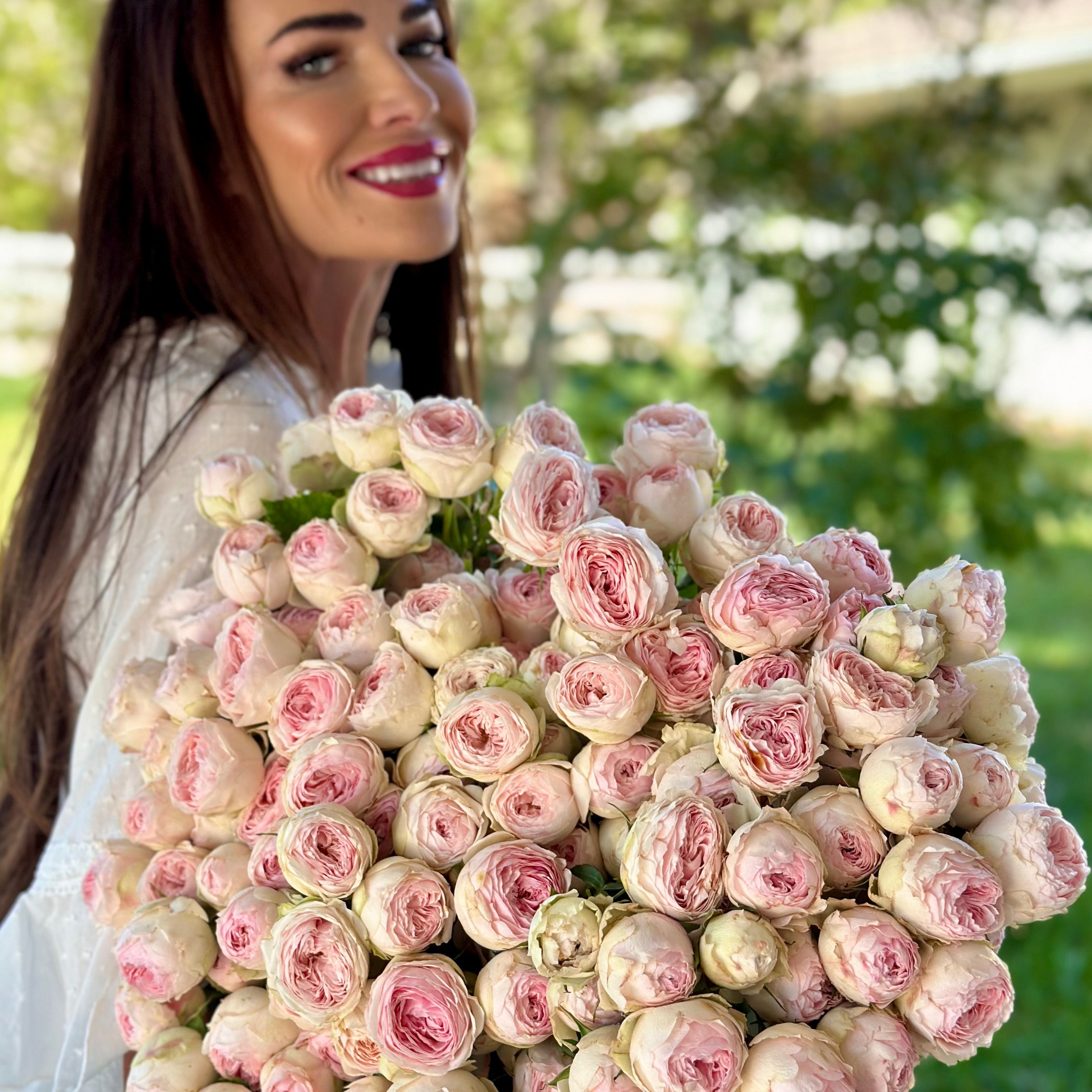 Florist Roses Tagged "white" Grace Rose Farm (Rose Bushes)