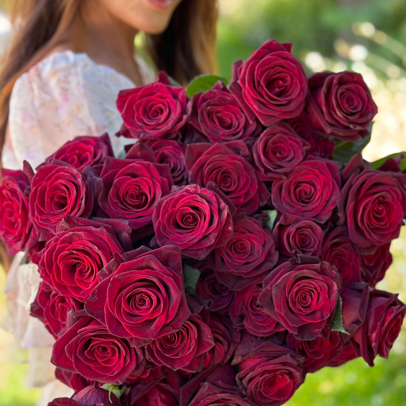 Black Baccara® Tree Rose